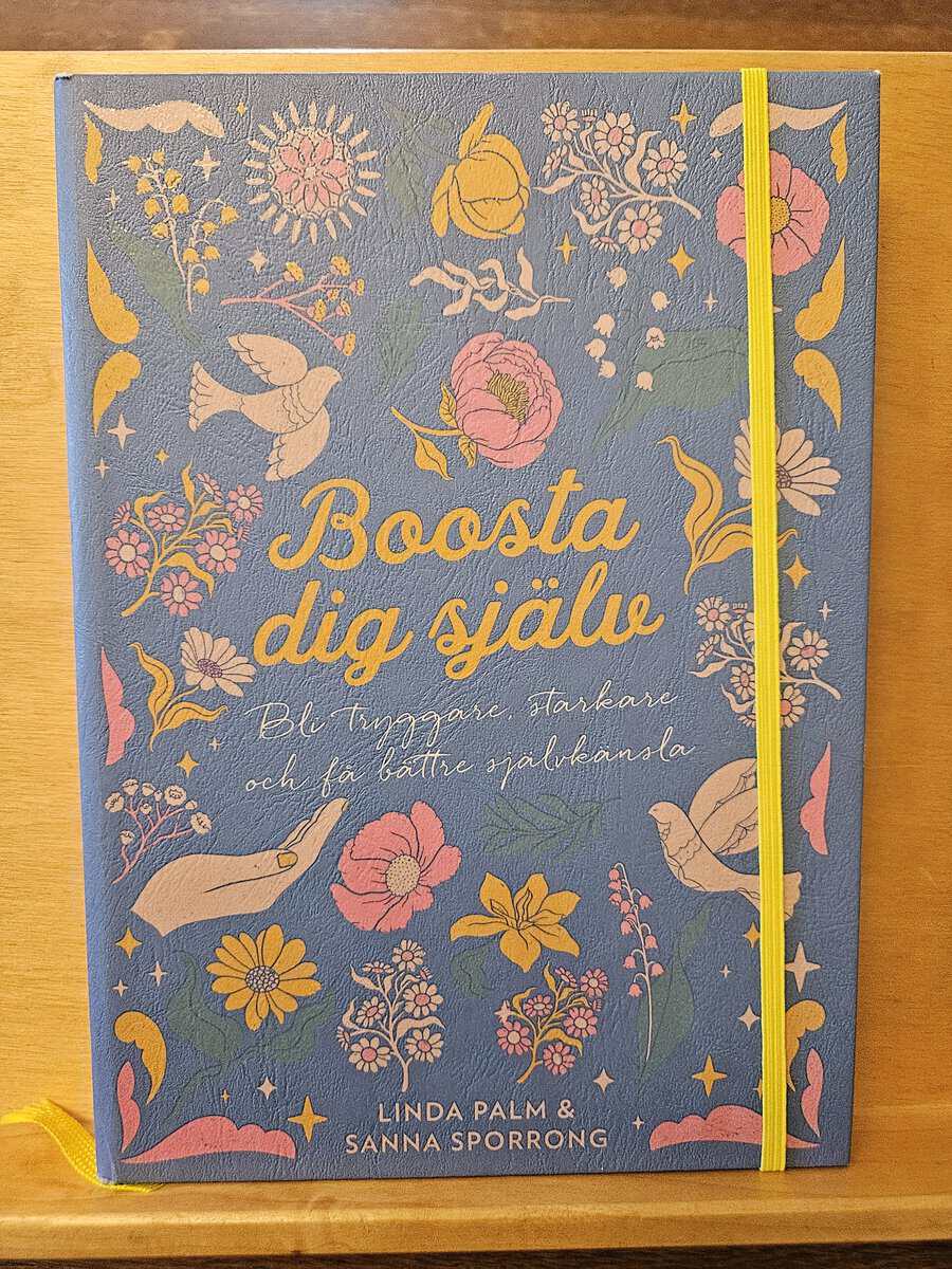 Palm, Linda, Sporrong, Sanna : Boosta dig själv