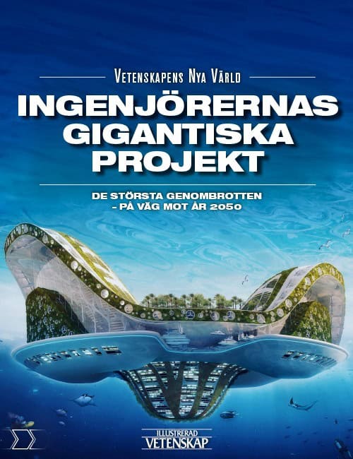 Palmgren, Gorm ; Bendix, Henrik ; Nielsen, Rolf Haugaard ; Nørgaard, Henry ; Overgaard, Jakob Boll ; Jørgensen, Morten Dam ; Simonsen, Torben R. : Ingenjörernas gigantiska projekt