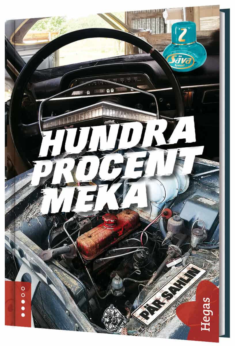 Pär Sahlin : Hundra procent meka
