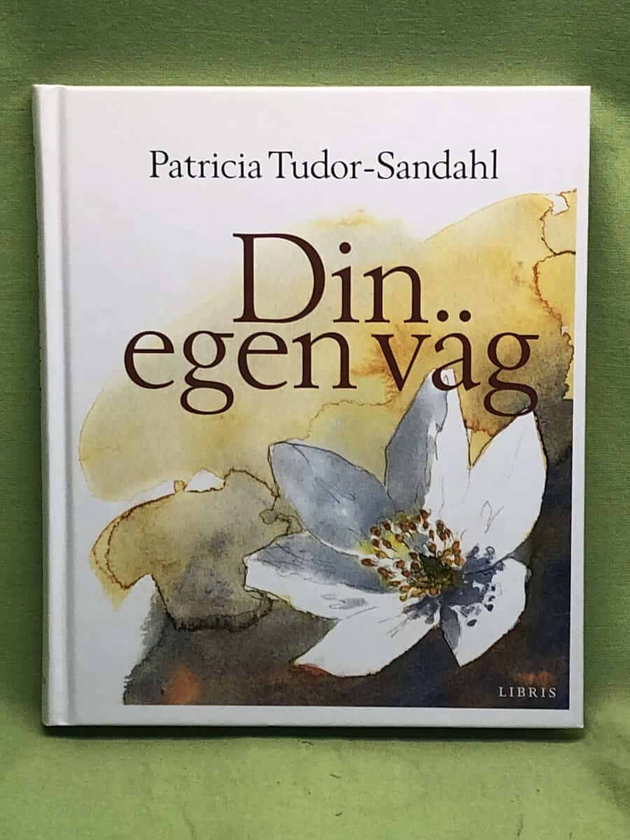 Patricia Tudor-Sandahl : Din egen väg