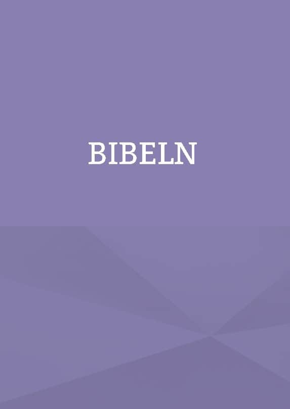 Patrik Firat : King James bibeln på svenska : Bibeln