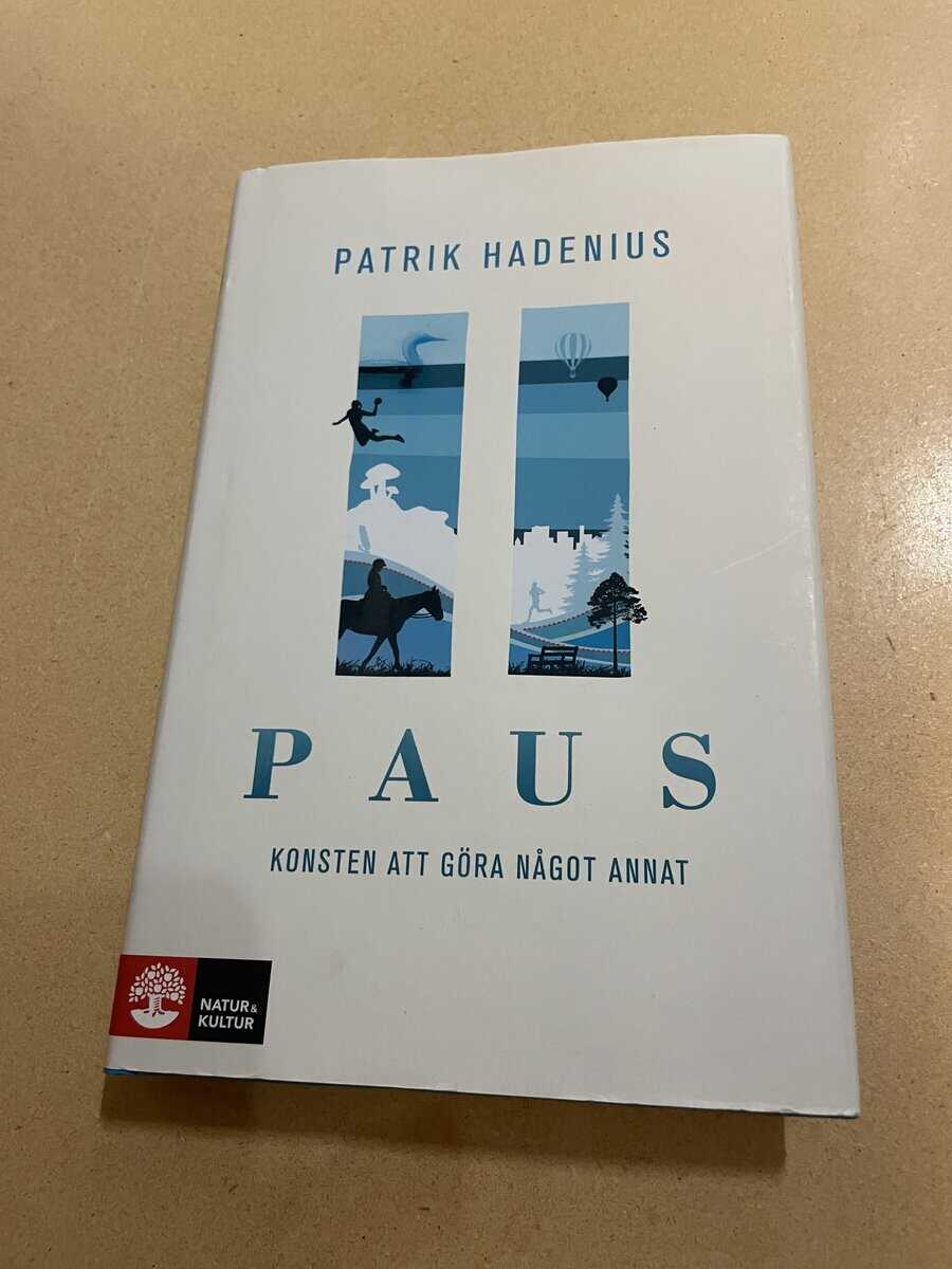 Patrik Hadenius : Paus konsten att göra något annat
