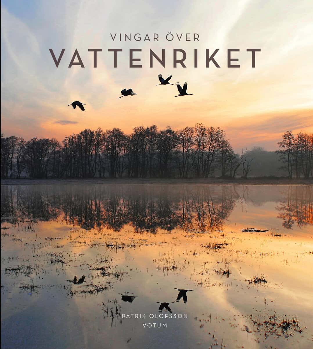 Patrik Olofsson : Vingar över Vattenriket