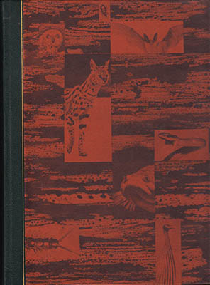 Paul Pesson : Insekter från hela världen