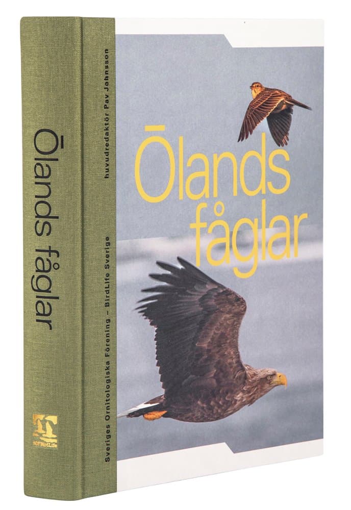 Pav Johnsson : Ölands fåglar