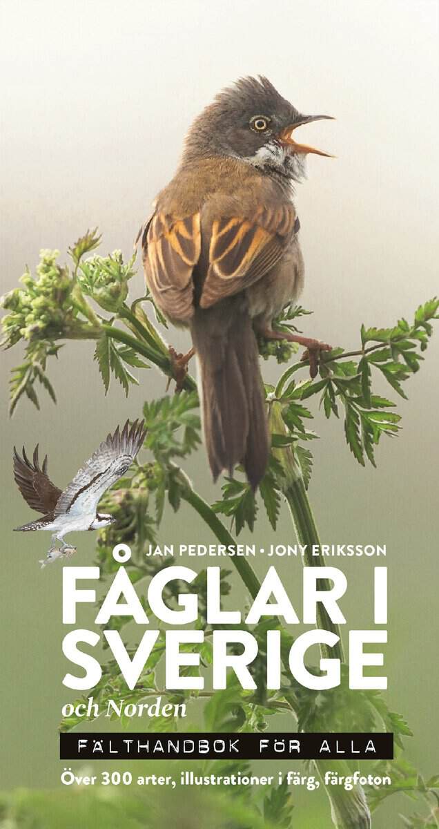 Pedersen, Jan; Eriksson, Jony : Fåglar i Sverige och Norden