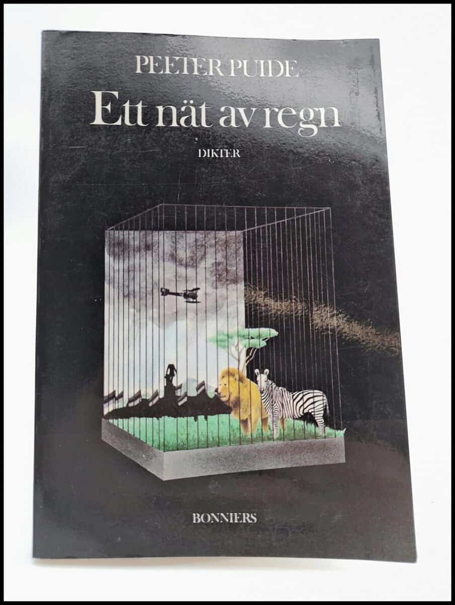Peeter Puide : Ett nät av regn