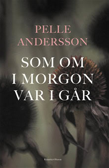 Pelle Andersson : Som om i morgon var i går