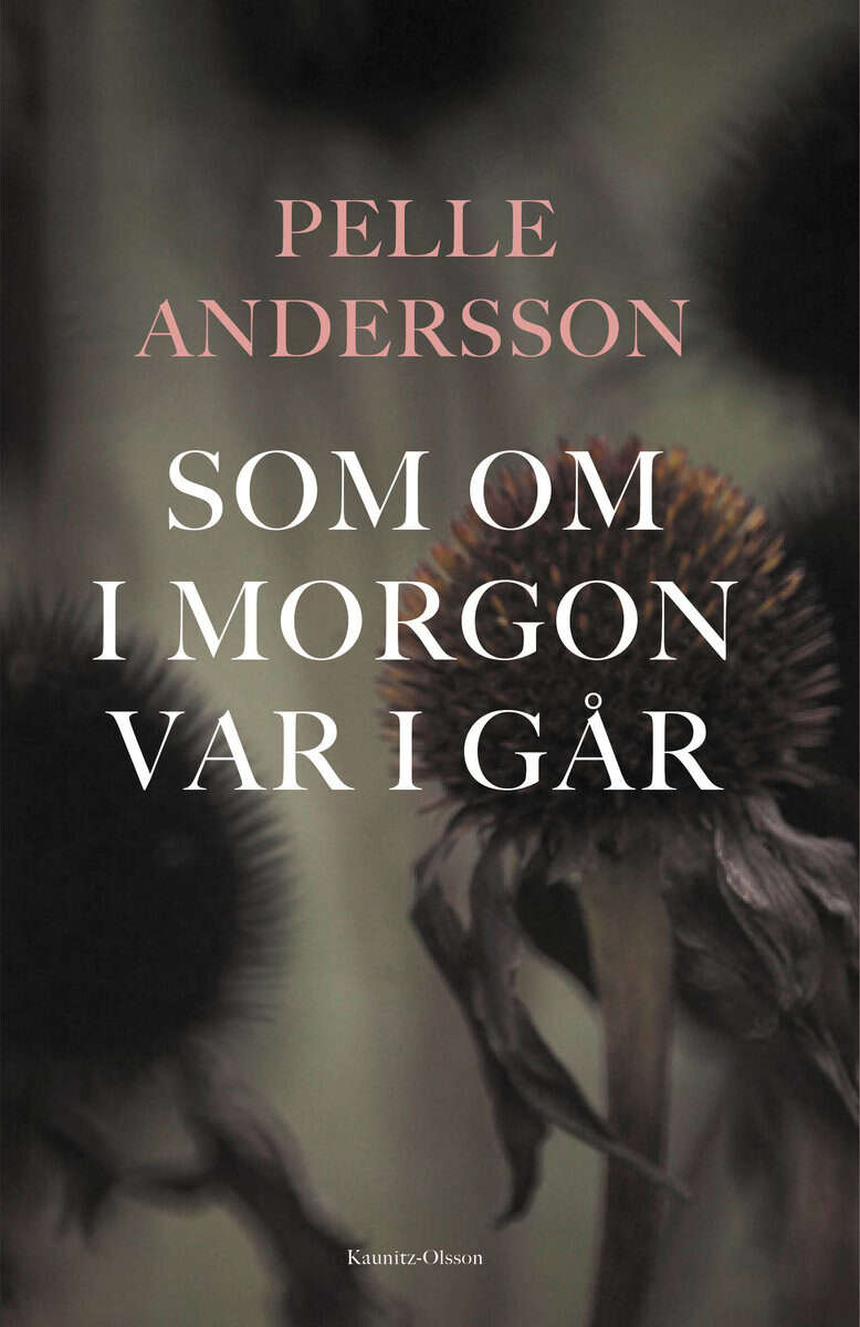 Pelle Andersson : Som om i morgon var i går