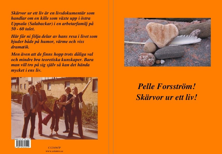 Pelle Forsström : Skärvor ur ett liv