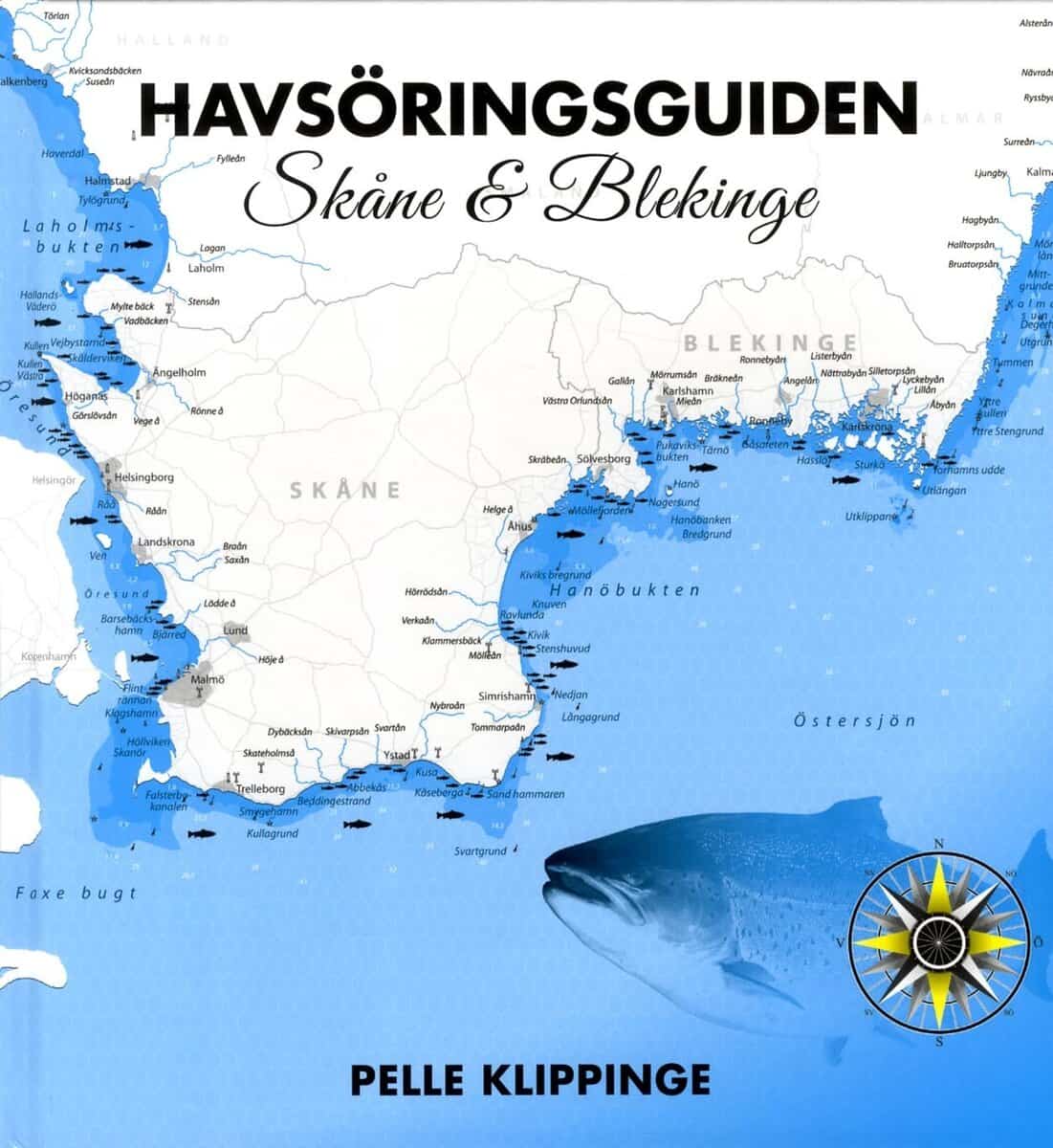 Pelle Klippinge : Havsöringsguiden. Skåne & Blekinge