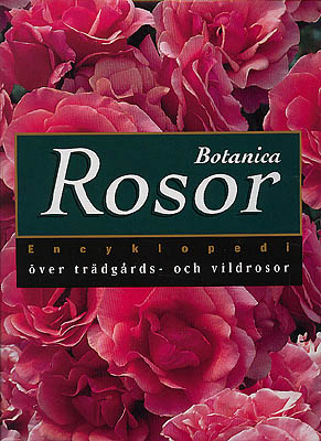 Penny Martin : Botanica Rosor