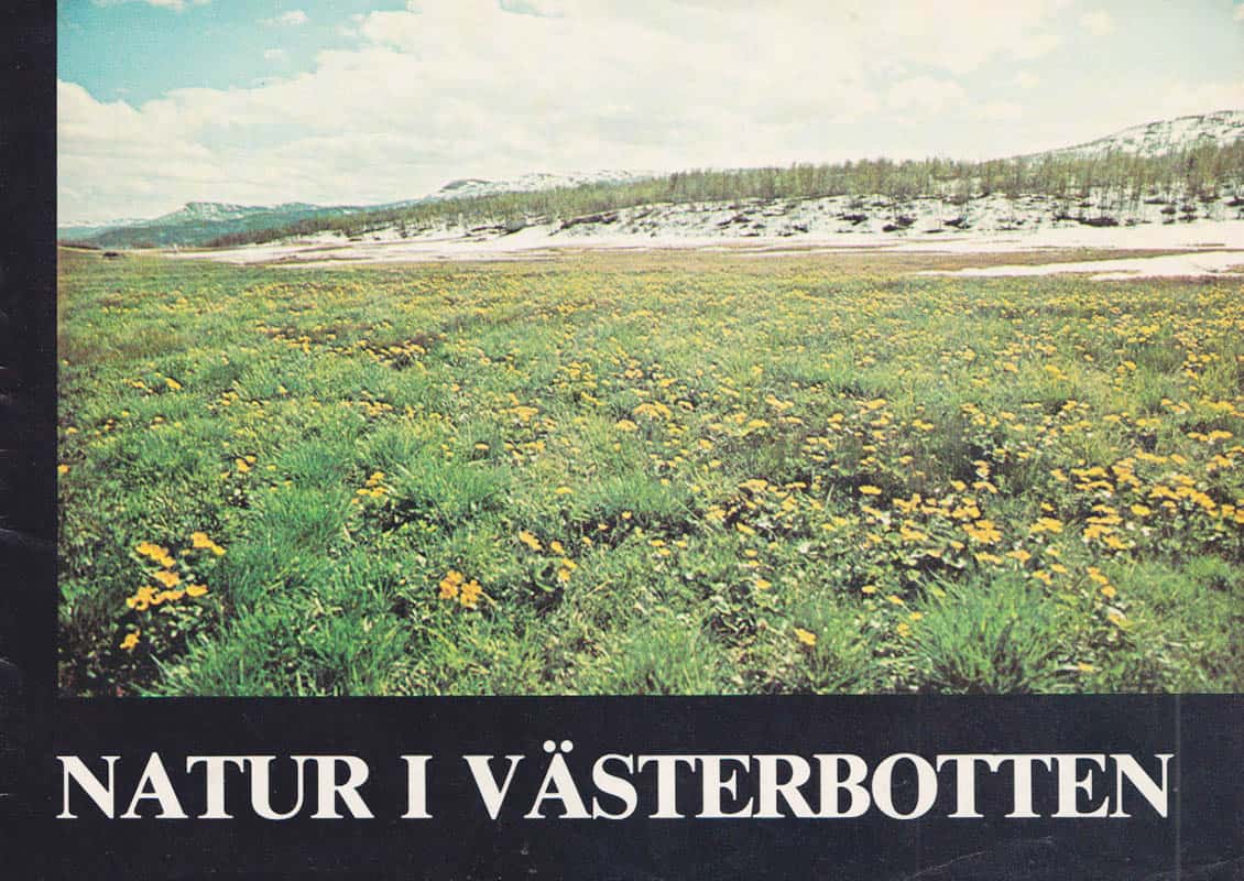 Per Erik Persson : Natur i Västerbotten