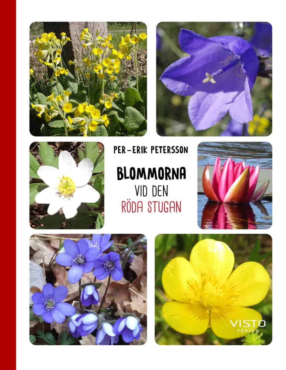 Per-Erik Petersson : Blommorna vid den röda stugan