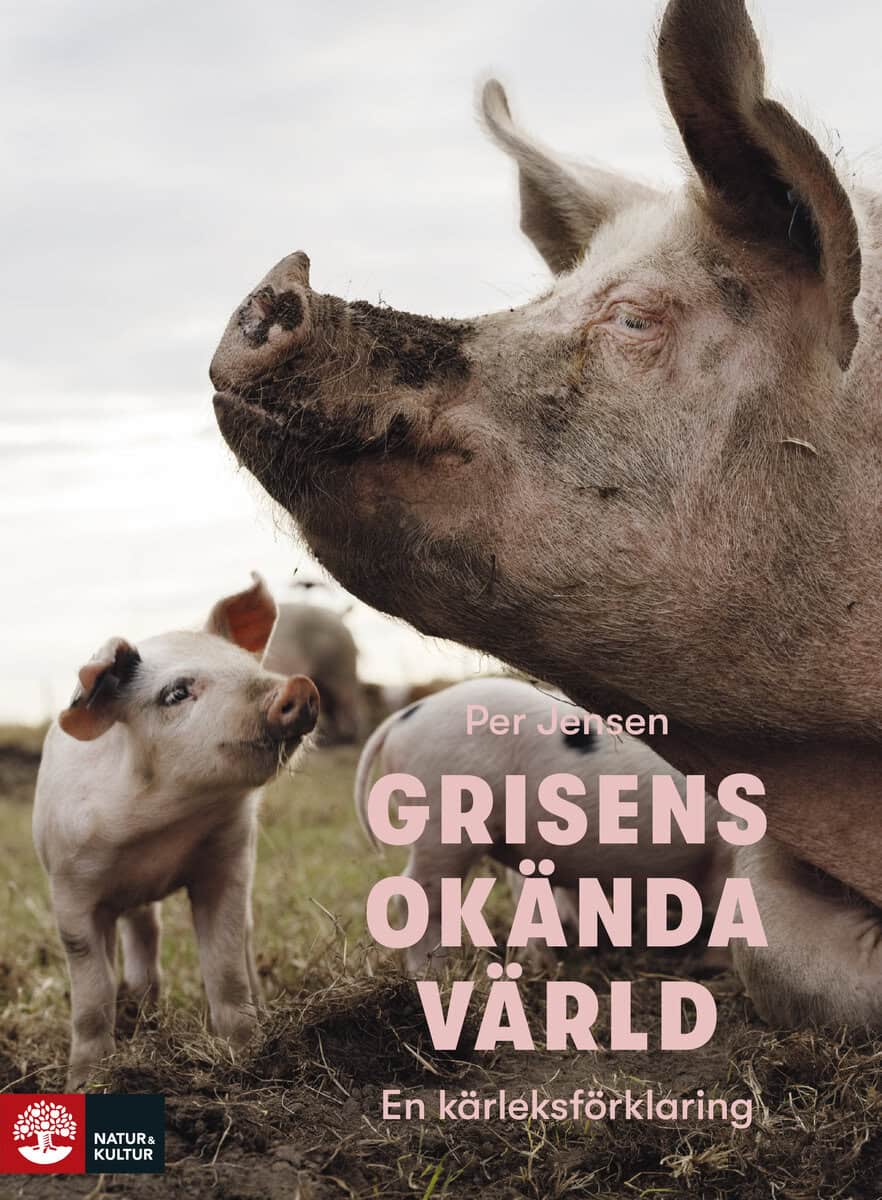 Per Jensen : Grisens okända värld