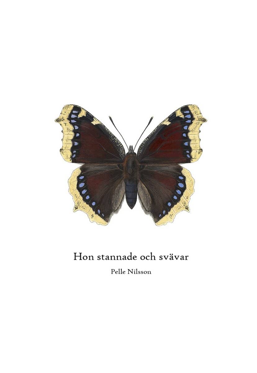 Per Nilsson : Hon stannade och svävar