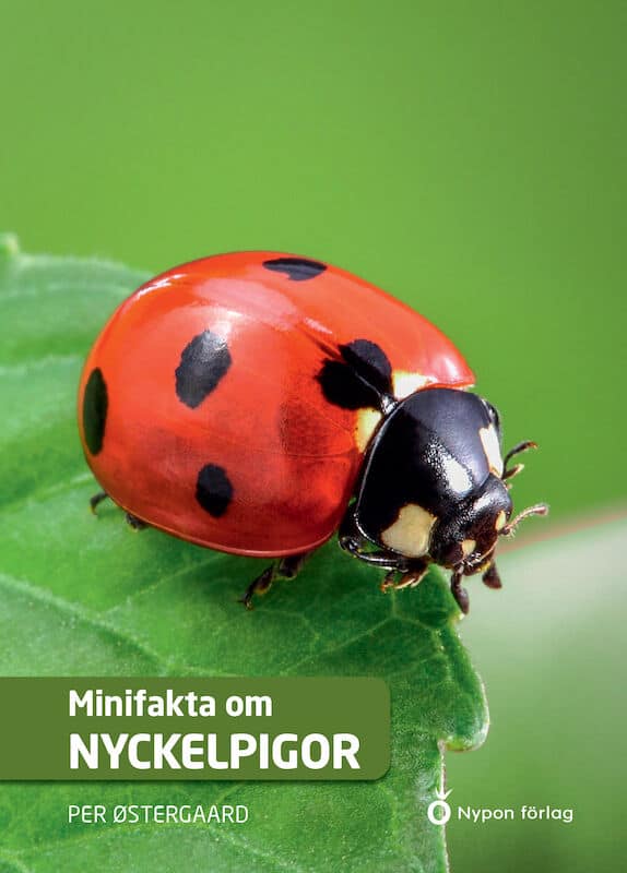Per Østergaard : Minifakta om nyckelpigor