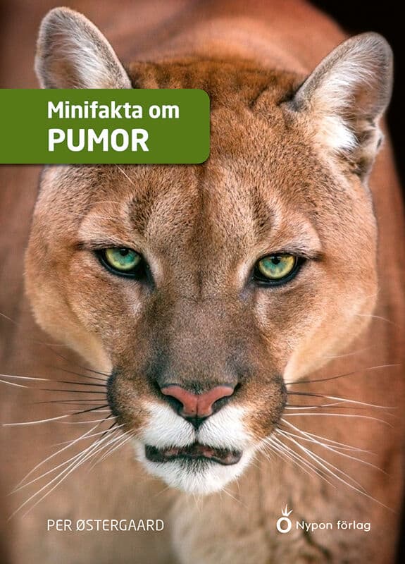 Per Østergaard : Minifakta om pumor