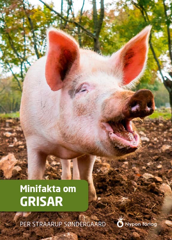 Per Straarup Søndergaard : Minifakta om grisar