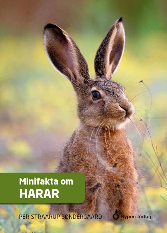 Per Straarup Søndergaard : Minifakta om harar