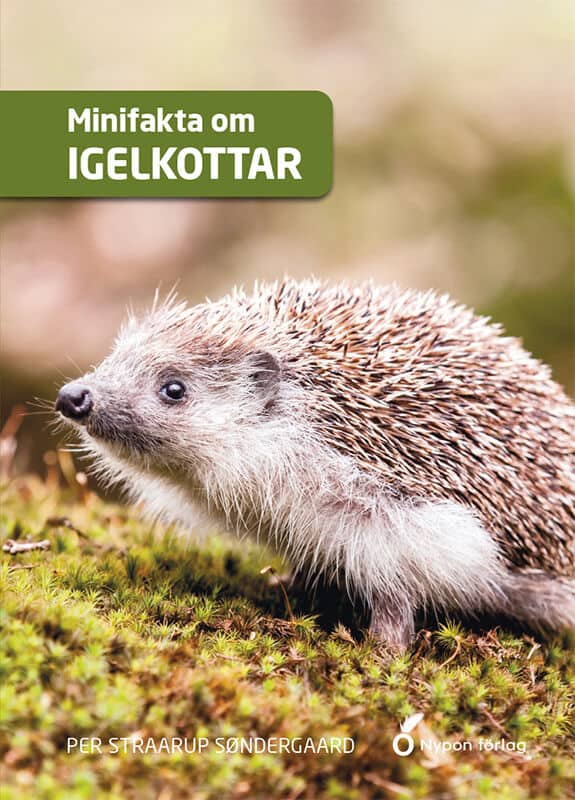 Per Straarup Søndergaard : Minifakta om igelkottar