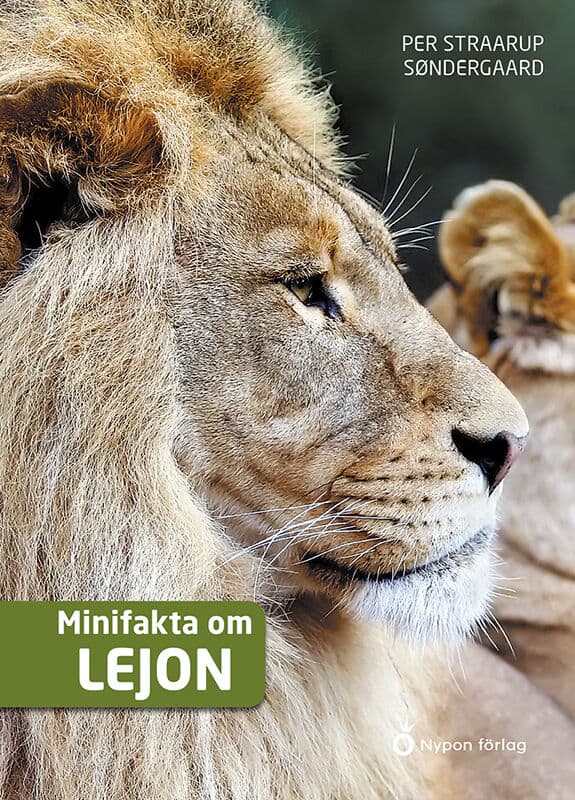 Per Straarup Søndergaard : Minifakta om lejon