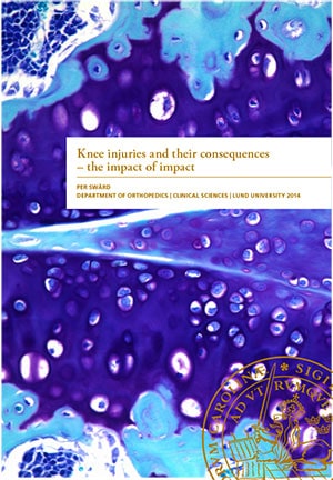 Per Swärd : Knee injuries and their consequences