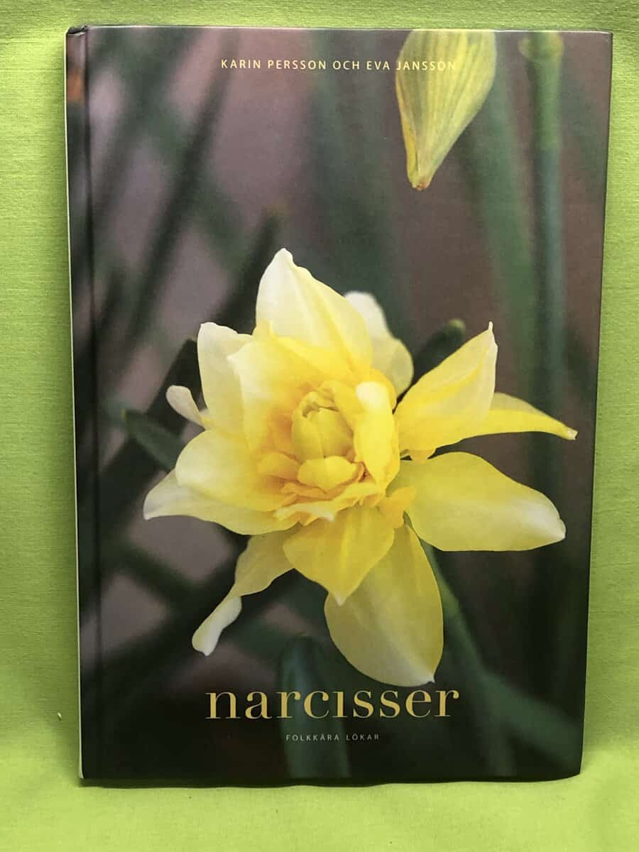 Persson, Karin ; Jansson, Eva : Narcisser
