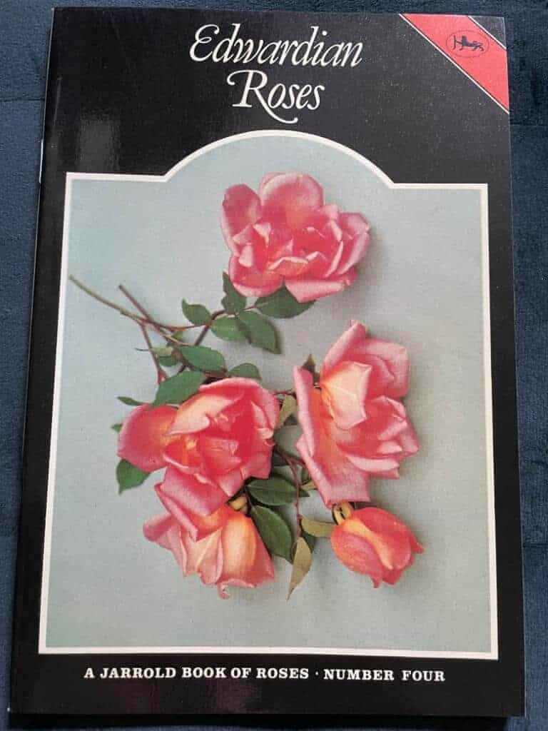Peter Beales : Edwardian Roses