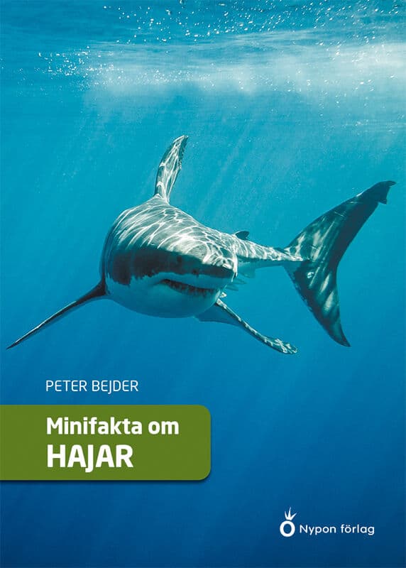 Peter Bejder : Minifakta om hajar