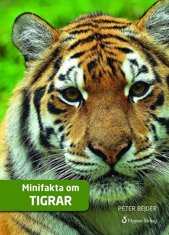 Peter Bejder : Minifakta om tigrar
