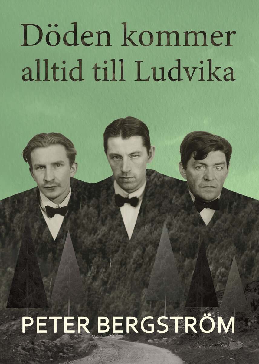 Peter Bergström : Döden kommer alltid till Ludvika