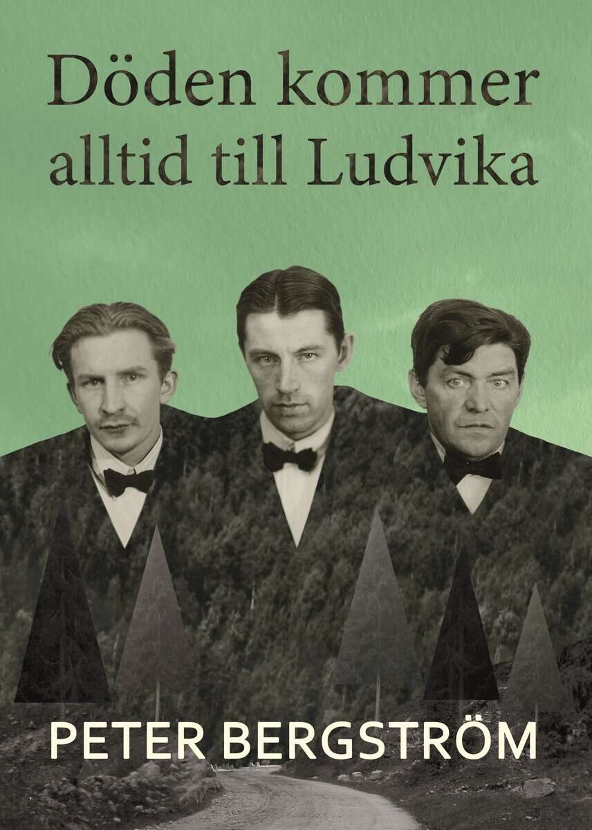 Peter Bergström : Döden kommer alltid till Ludvika
