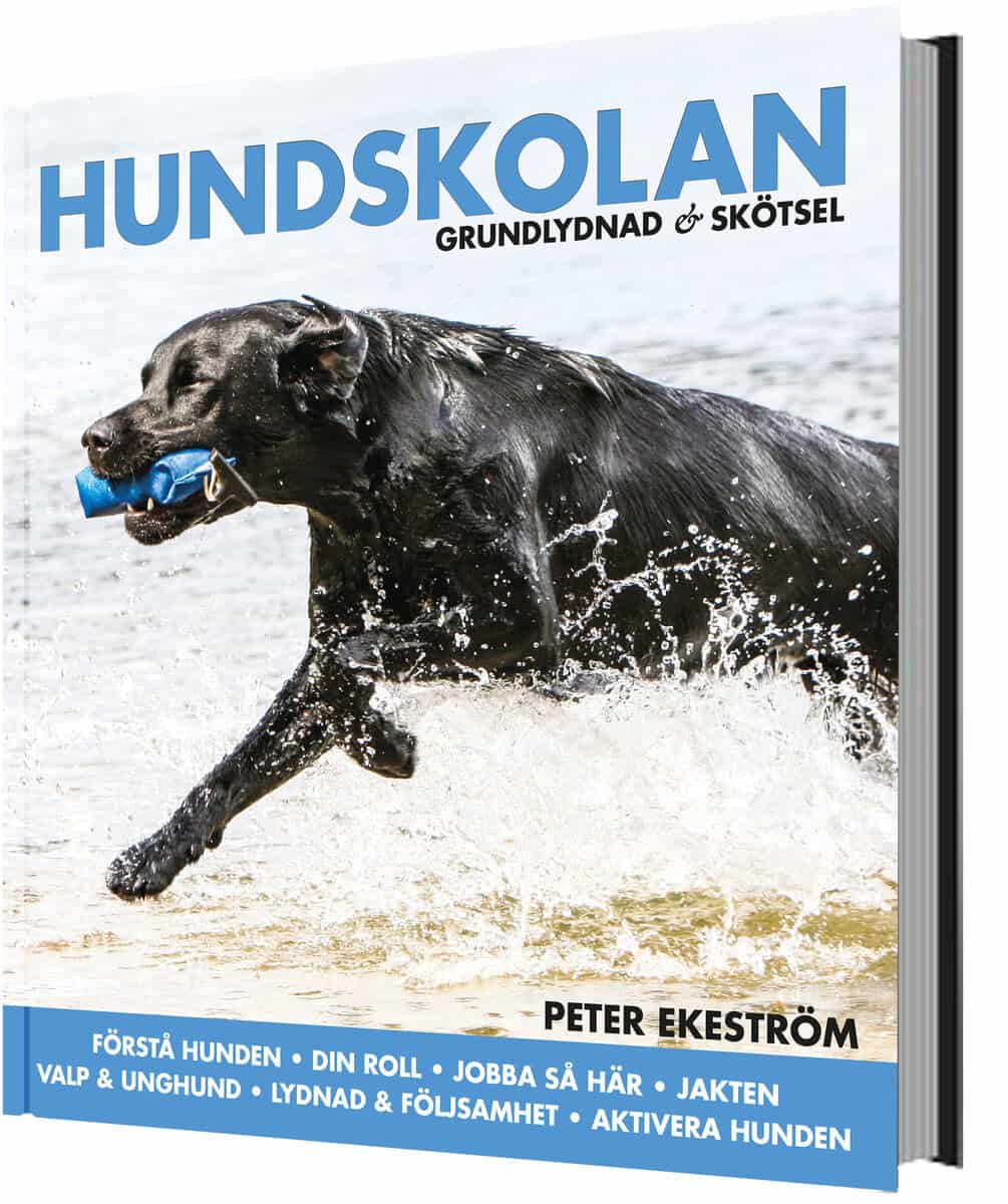 Peter Ekeström : Hundskolan : grundlydnad & skötsel