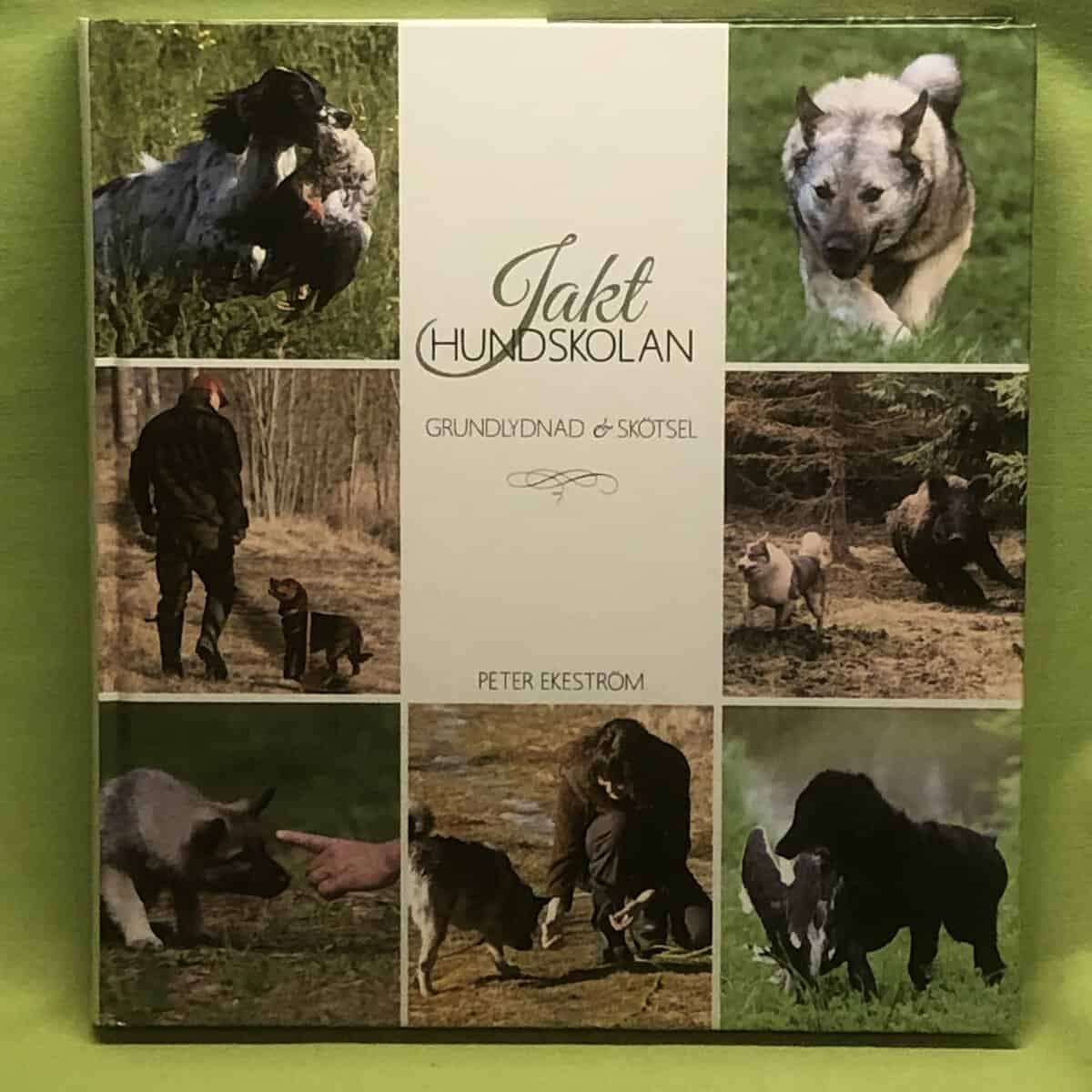 Peter Ekeström : Jakthundskolan grundlydnad & skötsel