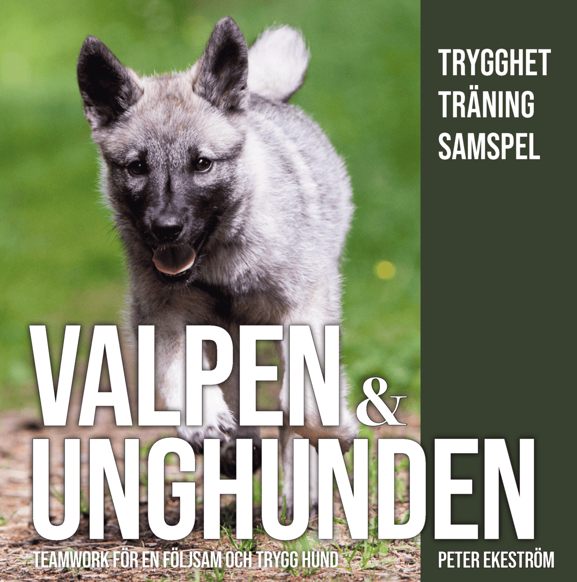 Peter Ekeström : Valpen & unghunden : teamwork för en följsam och trygg hund