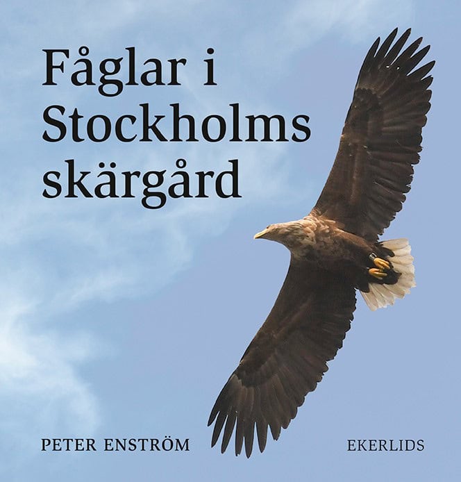 Peter Enström : Fåglar i Stockholms skärgård