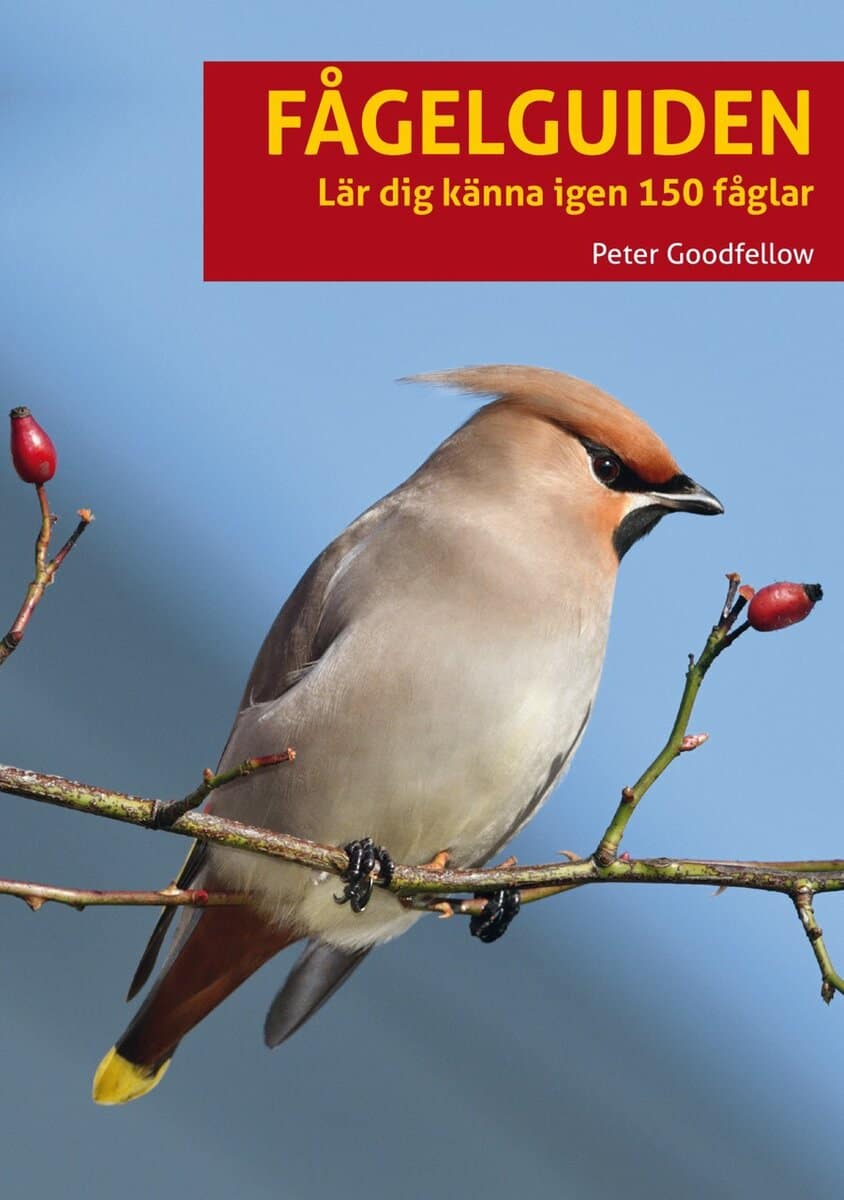 Peter Goodfellow : Fågelguiden : lär dig känna igen 150 fåglar
