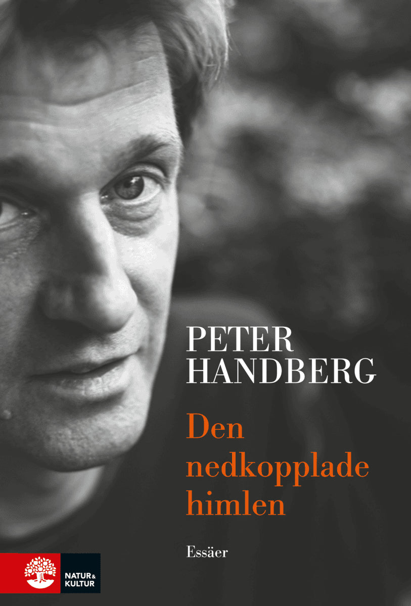 Peter Handberg : Den nedkopplade himlen och andra essäer