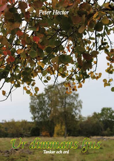 Peter Hector : Ur dimmans ljus