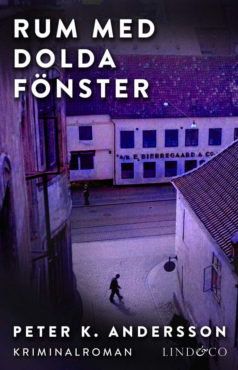 Peter K. Andersson : Rum med dolda fönster