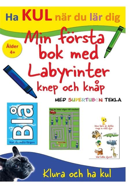Johansson, Peter ; Källman, Annika : Min första bok med labyrinter, knep och knåp