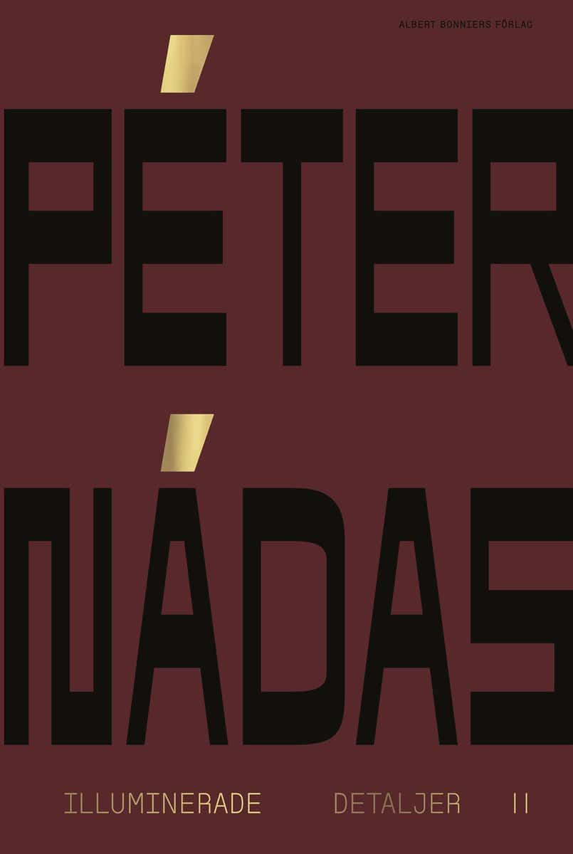 Peter Nádas : Illuminerade detaljer 2