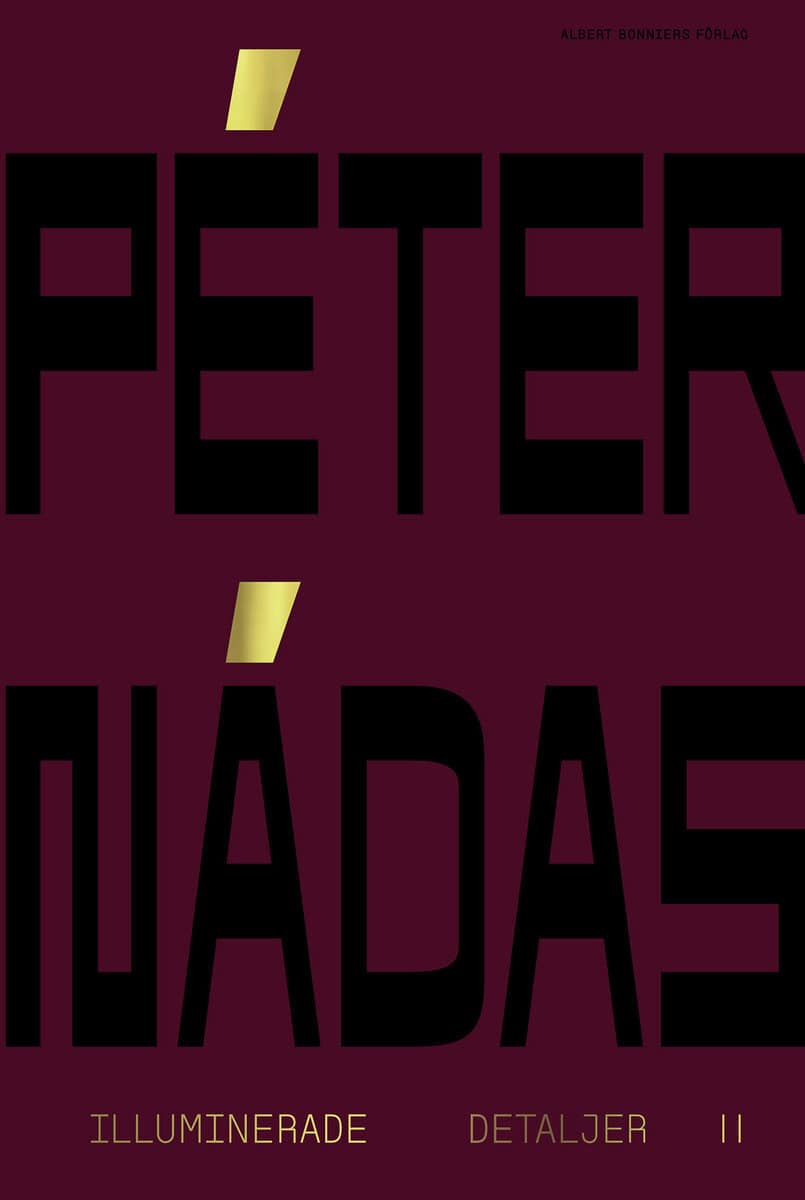 Peter Nádas : Illuminerade detaljer 2