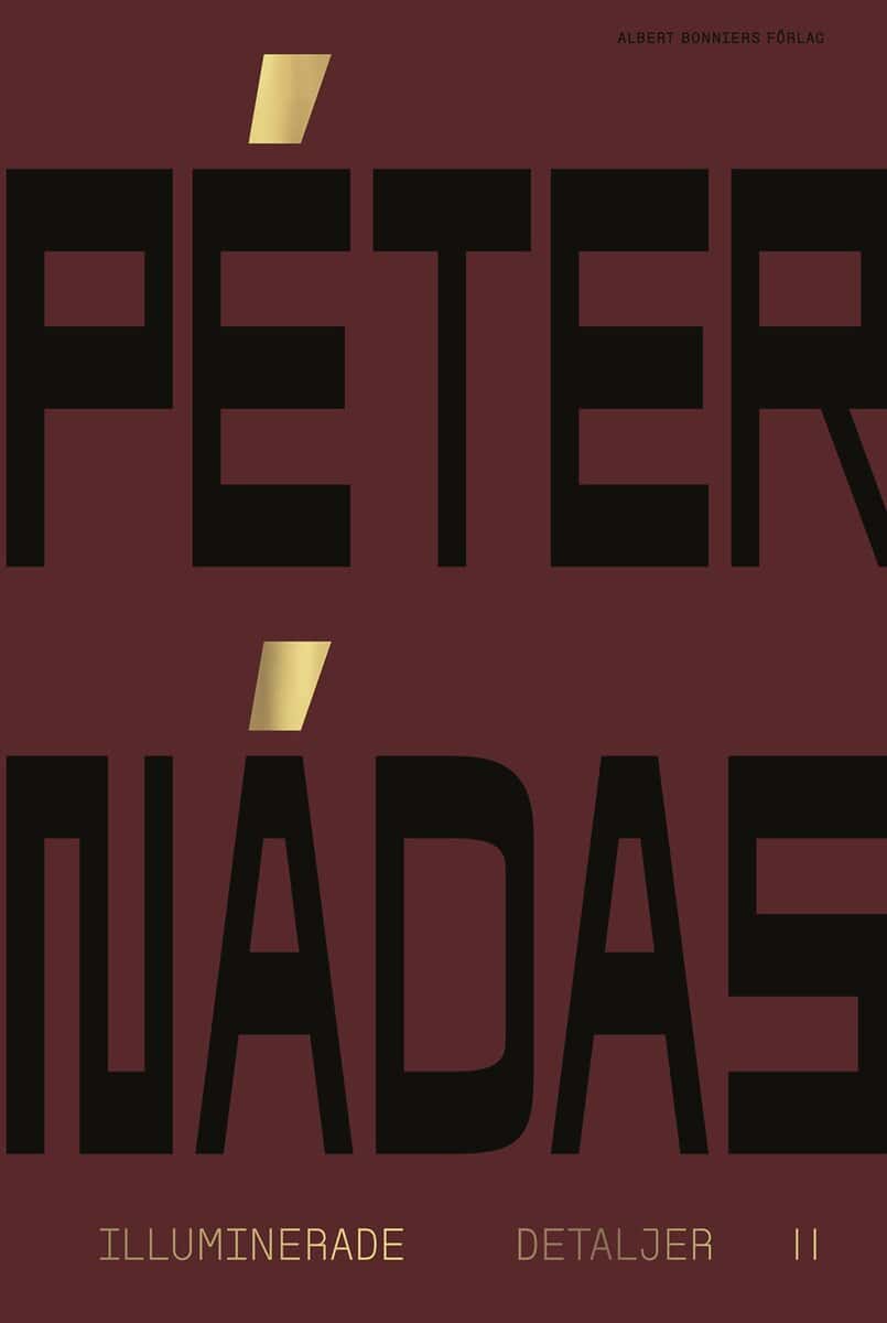 Peter Nádas : Illuminerade detaljer 2