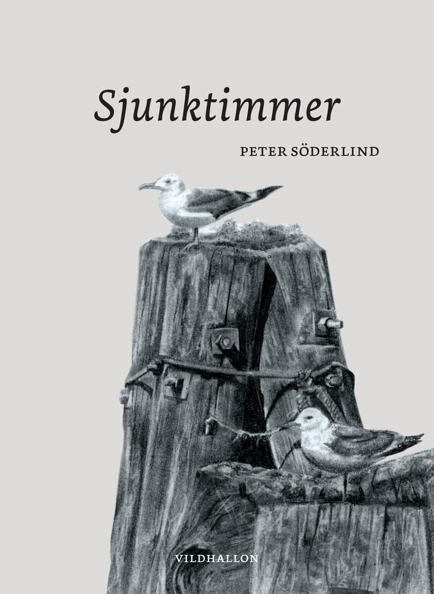 Peter Söderlind : Sjunktimmer
