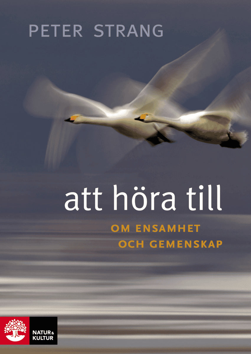 Peter Strang : Att höra till : om ensamhet och gemenskap