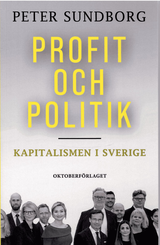 Peter Sundborg : Profit och politik
