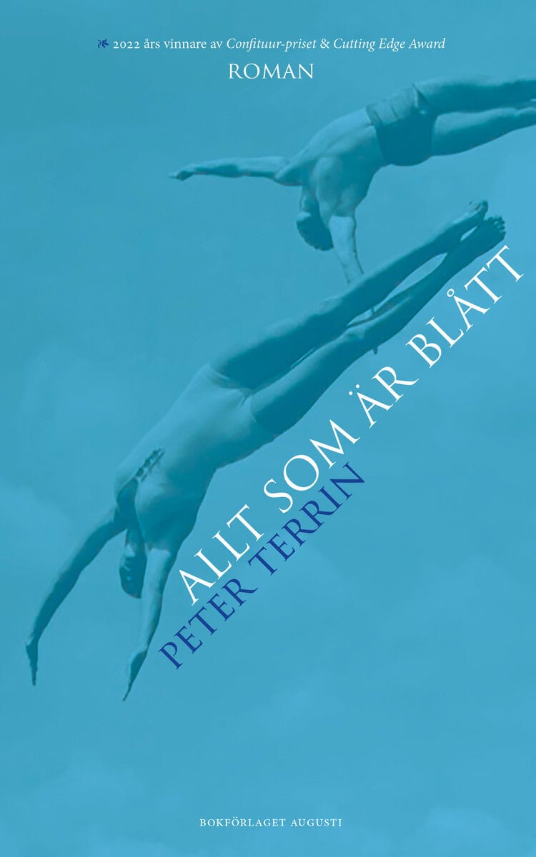 Peter Terrin : Allt som är blått