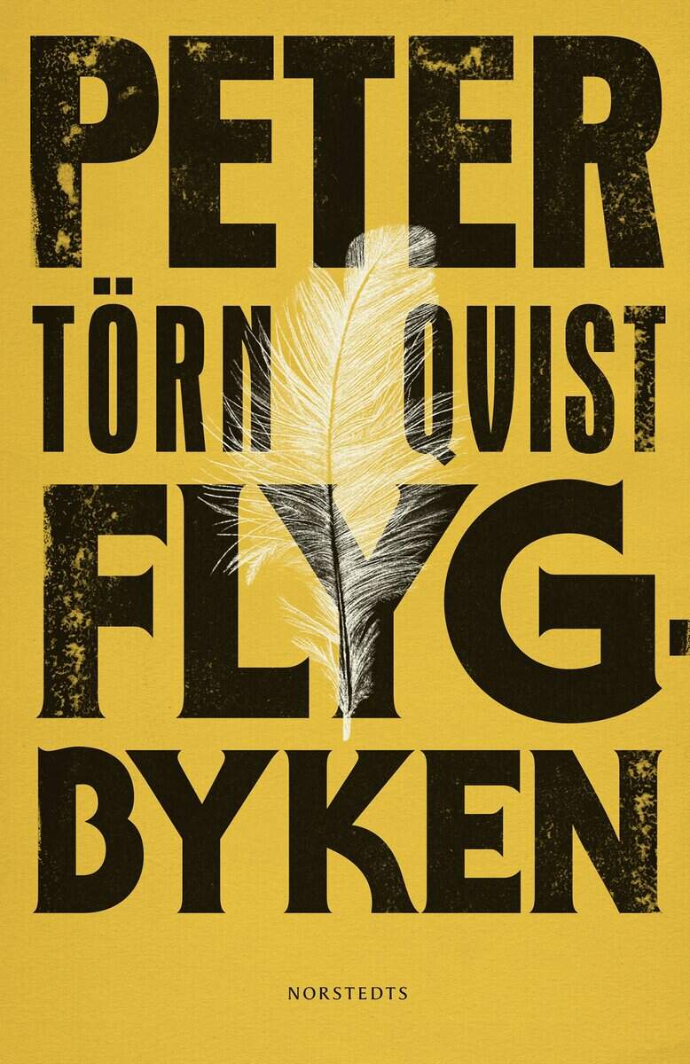 Peter Törnqvist : Flygbyken